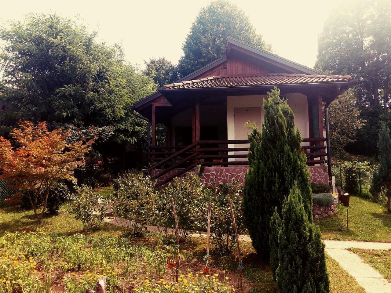 Holiday home Sunny Paradise
