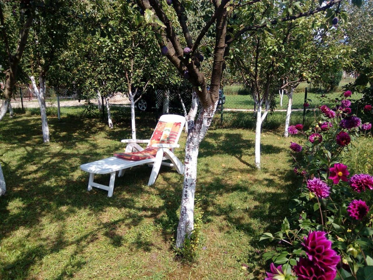 Holiday home Sunny Paradise *